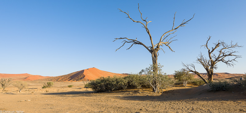 Namibia - Namib-Naukluft National Park