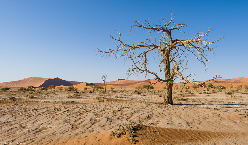 Namibia - Namib-Naukluft National Park