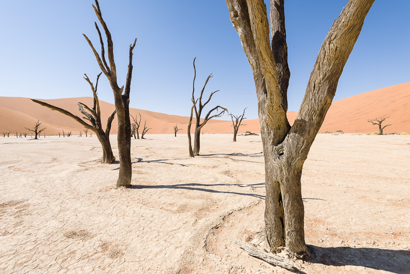 Namibia - Namib-Naukluft National Park