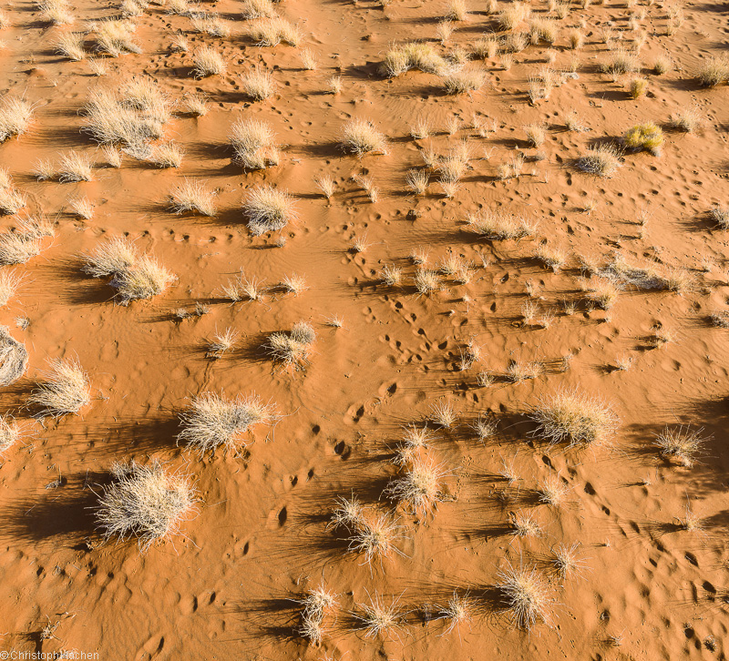 Namibia - Namib-Naukluft National Park