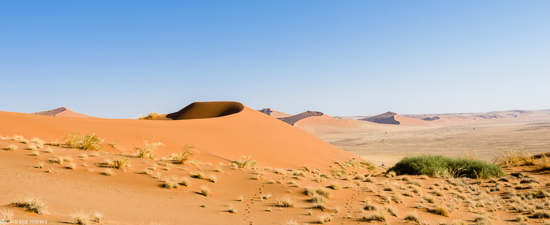 Namibia - Namib-Naukluft National Park
