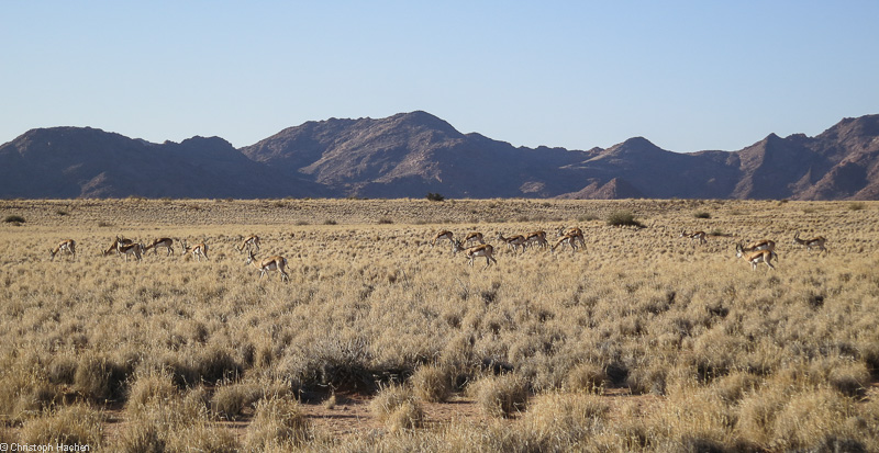 Namibia - Namib-Naukluft National Park
