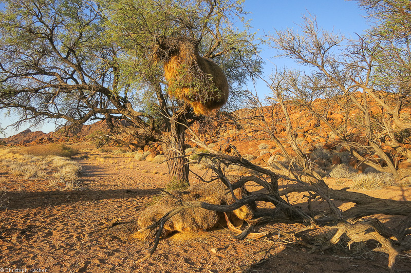 Namibia - Namib-Naukluft National Park