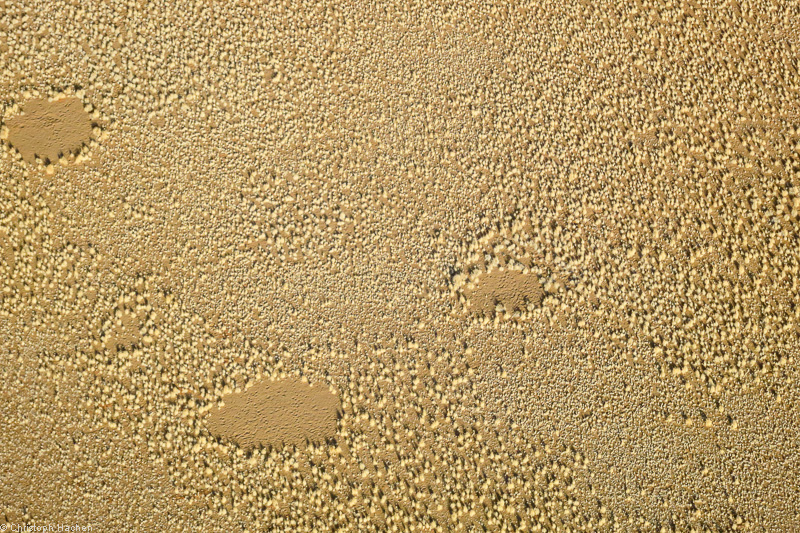 Namibia - Namib-Naukluft National Park