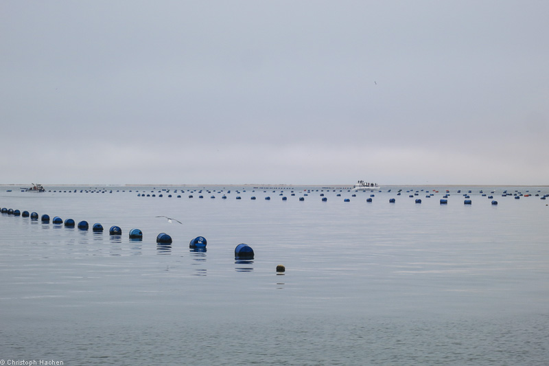Namibia - Walvis Bay
