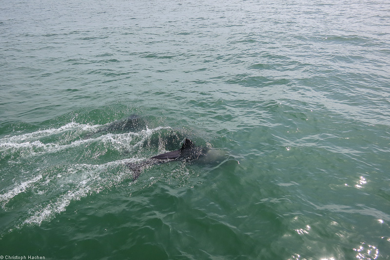 Namibia - Walvis Bay