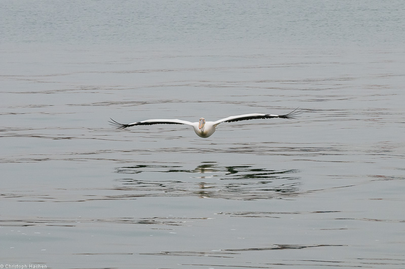 Namibia - Walvis Bay