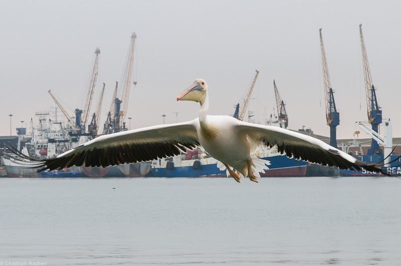 Namibia - Walvis Bay
