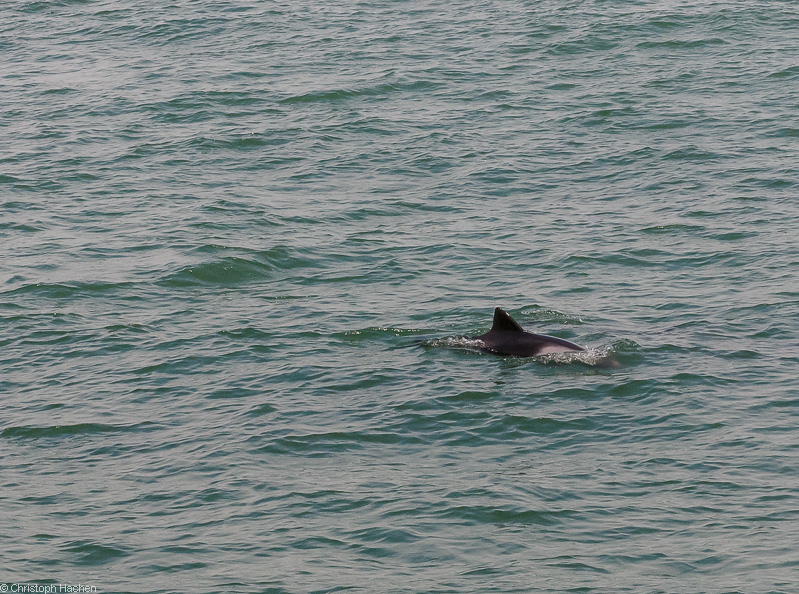 Namibia - Walvis Bay