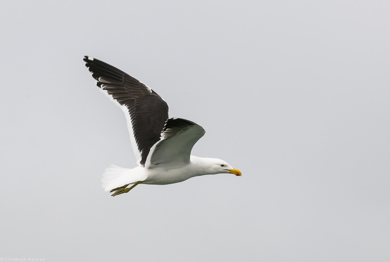 Namibia - Walvis Bay