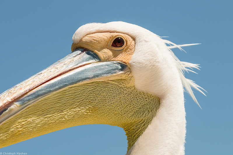 Namibia - Walvis Bay
