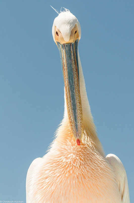 Namibia - Walvis Bay