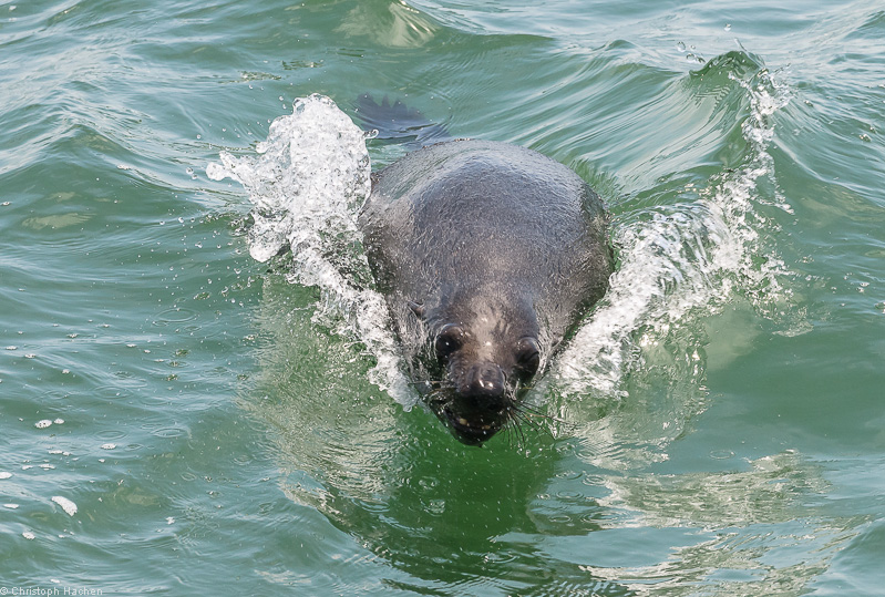 Namibia - Walvis Bay