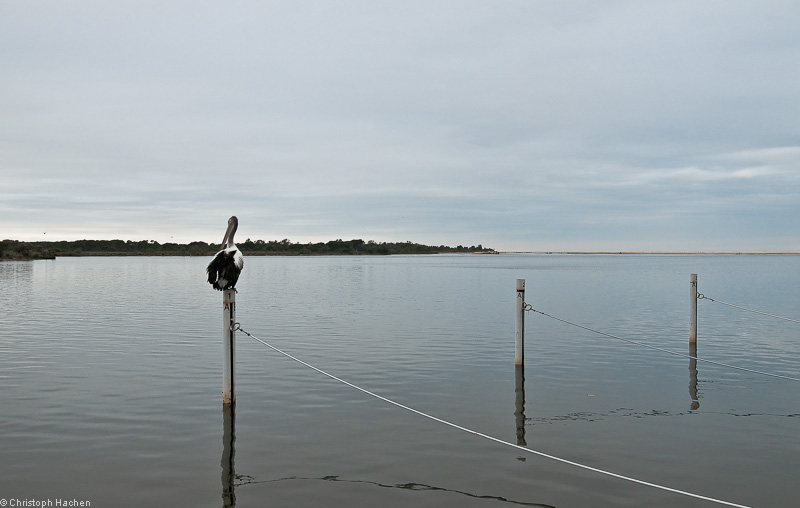 Australia - Mallacoota