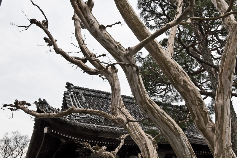 Japan - Takayama
