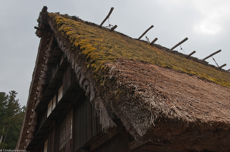 Japan - Takayama