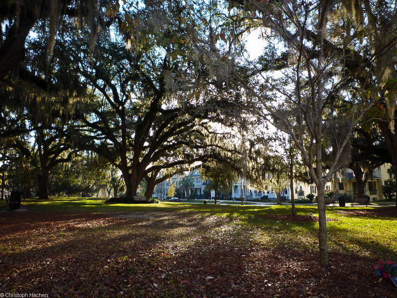 Florida & New Orleans - Tallahassee