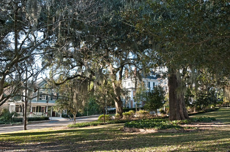 Florida & New Orleans - Tallahassee