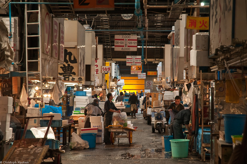 Japan - Tokyo - Tsukiji