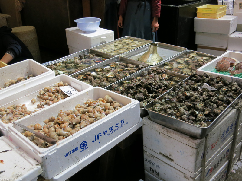 Japan - Tokyo - Tsukiji