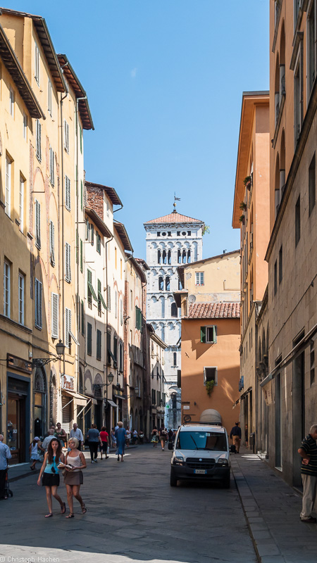 Italia- Toscana - Luca
