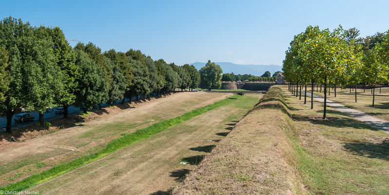 Italia- Toscana - Luca