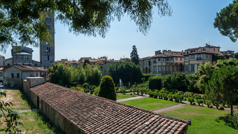 Italia- Toscana - Luca