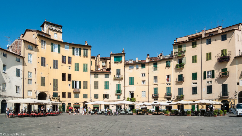 Italia- Toscana - Luca