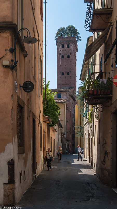 Italia- Toscana - Luca