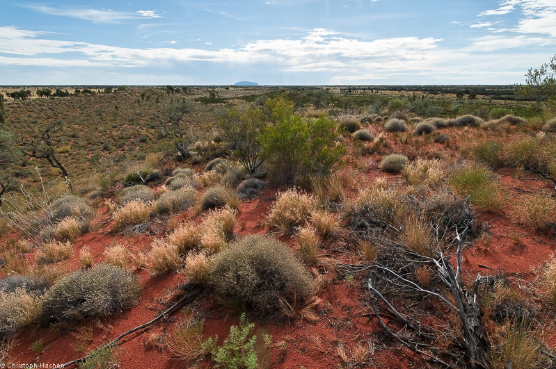 Australia - Uluru