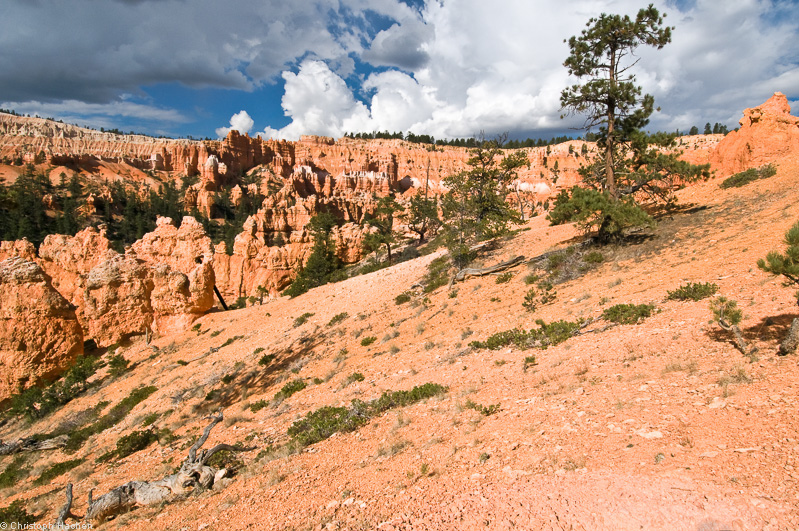 Southwest US 1 - Utah - Bryce Canyon