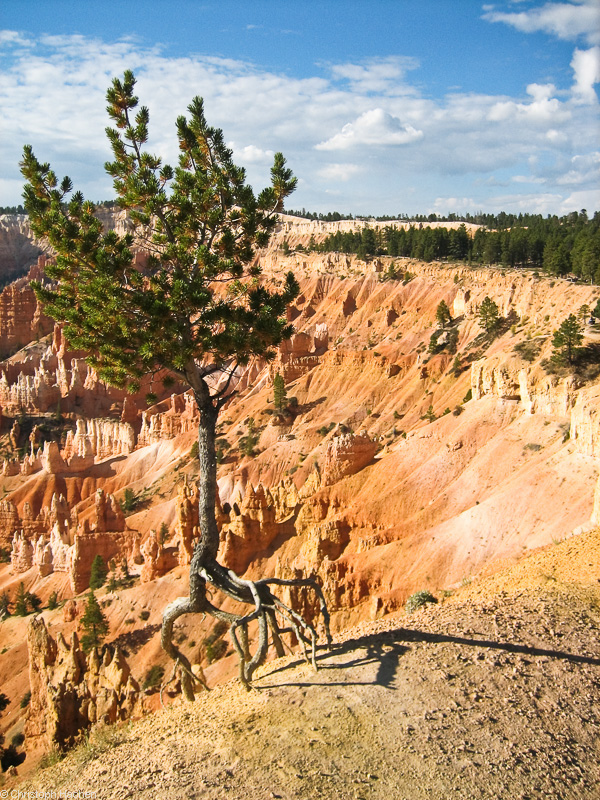Southwest US 1 - Utah - Bryce Canyon