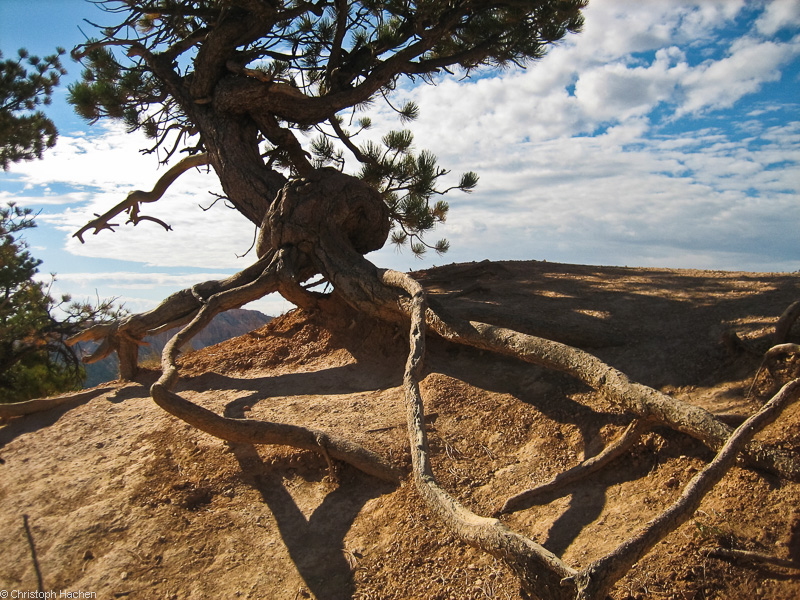 Southwest US 1 - Utah - Bryce Canyon