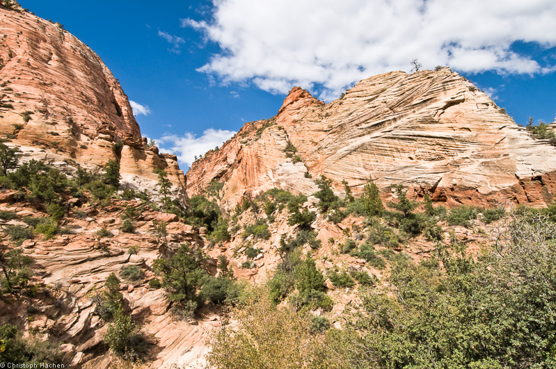 Southwest US 1 - Utah - Zion