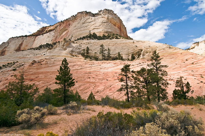 Southwest US 1 - Utah - Zion