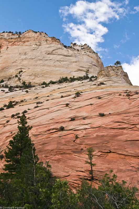 Southwest US 1 - Utah - Zion