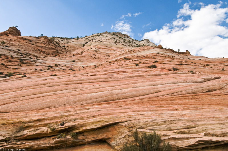 Southwest US 1 - Utah - Zion