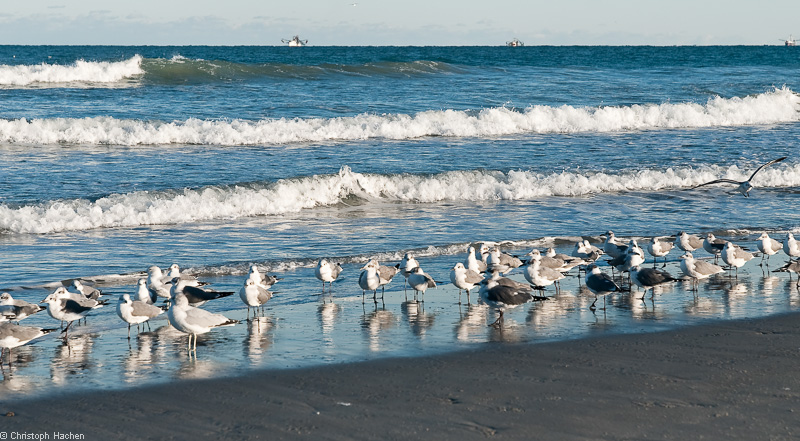 Florida & New Orleans - Cocoa Beach