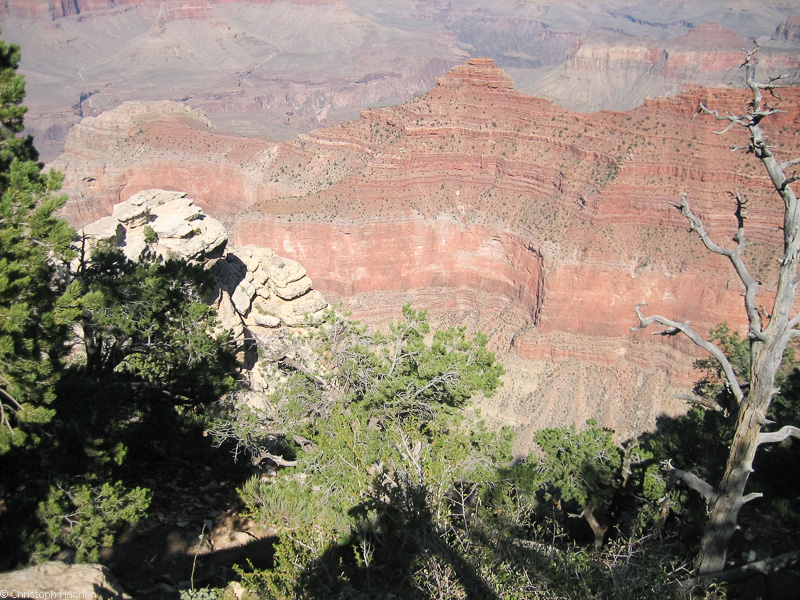 Southwest US 1 - Arizona - Grand Canyon