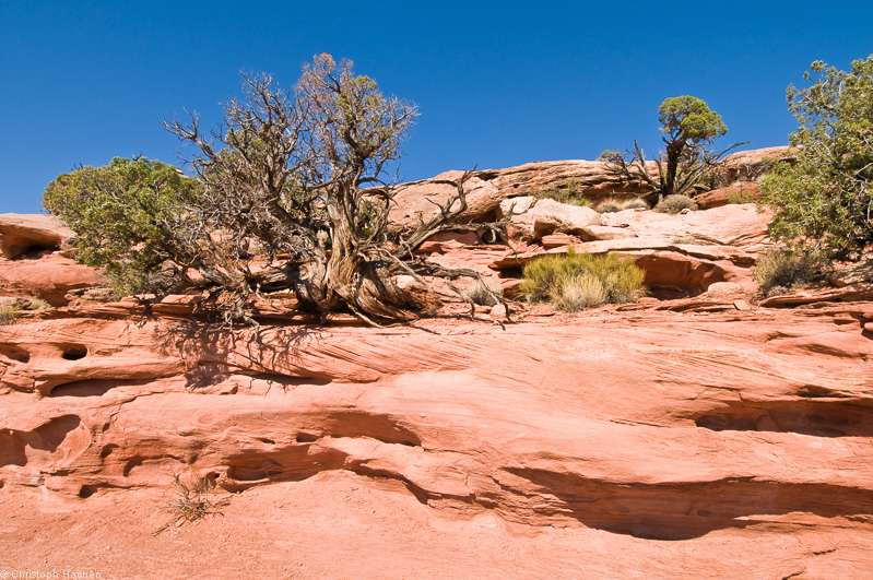 Southwest US 1 - Utah/Moab - Canyonlands