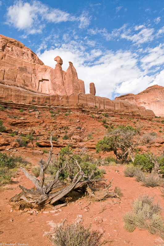 Southwest US 1 - Utah/Moab - Arches