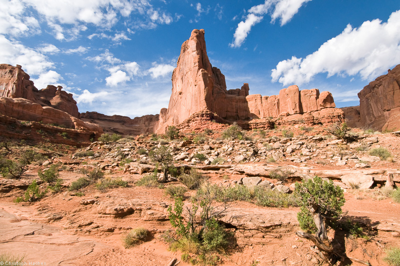 Southwest US 1 - Utah/Moab - Arches
