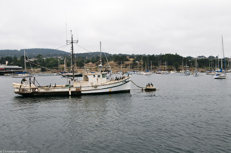 Southwest US 1 - California - Monterey