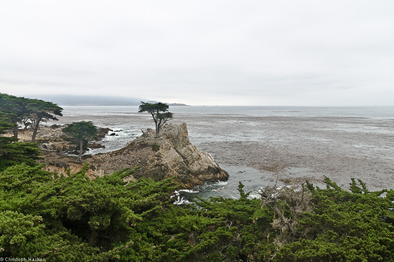 Southwest US 1 - California - 17 Miles Drive