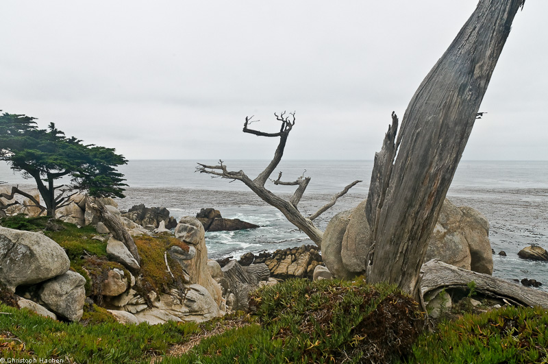 Southwest US 1 - California - 17 Miles Drive