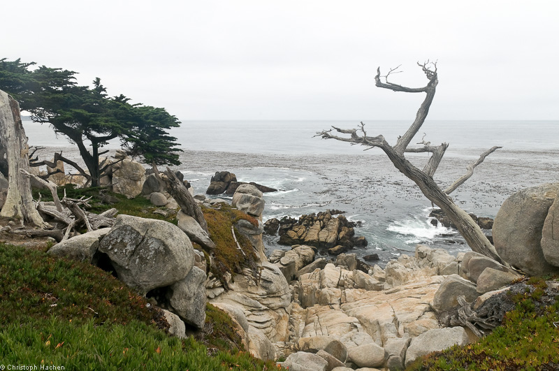 Southwest US 1 - California - 17 Miles Drive