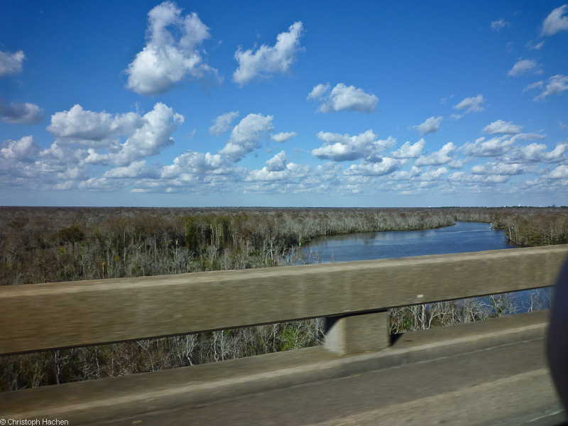 Florida & New Orleans - New Orleans