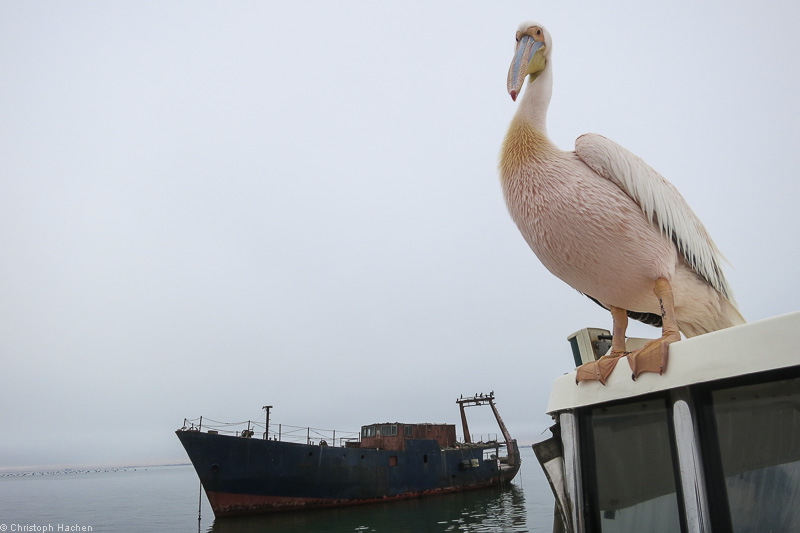Namibia - Walvis Bay