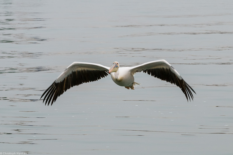 Namibia - Walvis Bay