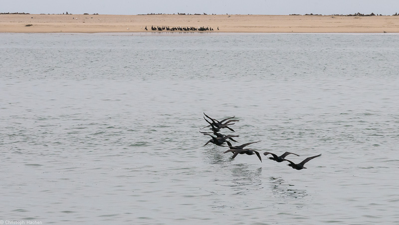 Namibia - Walvis Bay